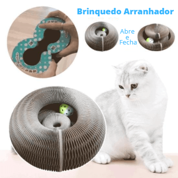 2 em 1 Onda Cat™️ + Brinde Bolinha com sino - inovedescontos